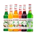 Kit Xarope Monin 700ml com 6 Sabores