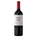 Vinho Casillero Del Diablo Cabernet Sauvignon Concha Y Toro 750ml